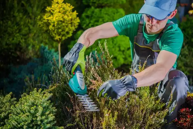 landscaping services Cleary